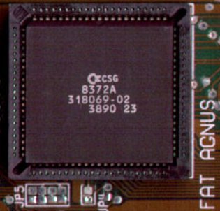 agnus_8372a.jpg agnus_8372a.jpg